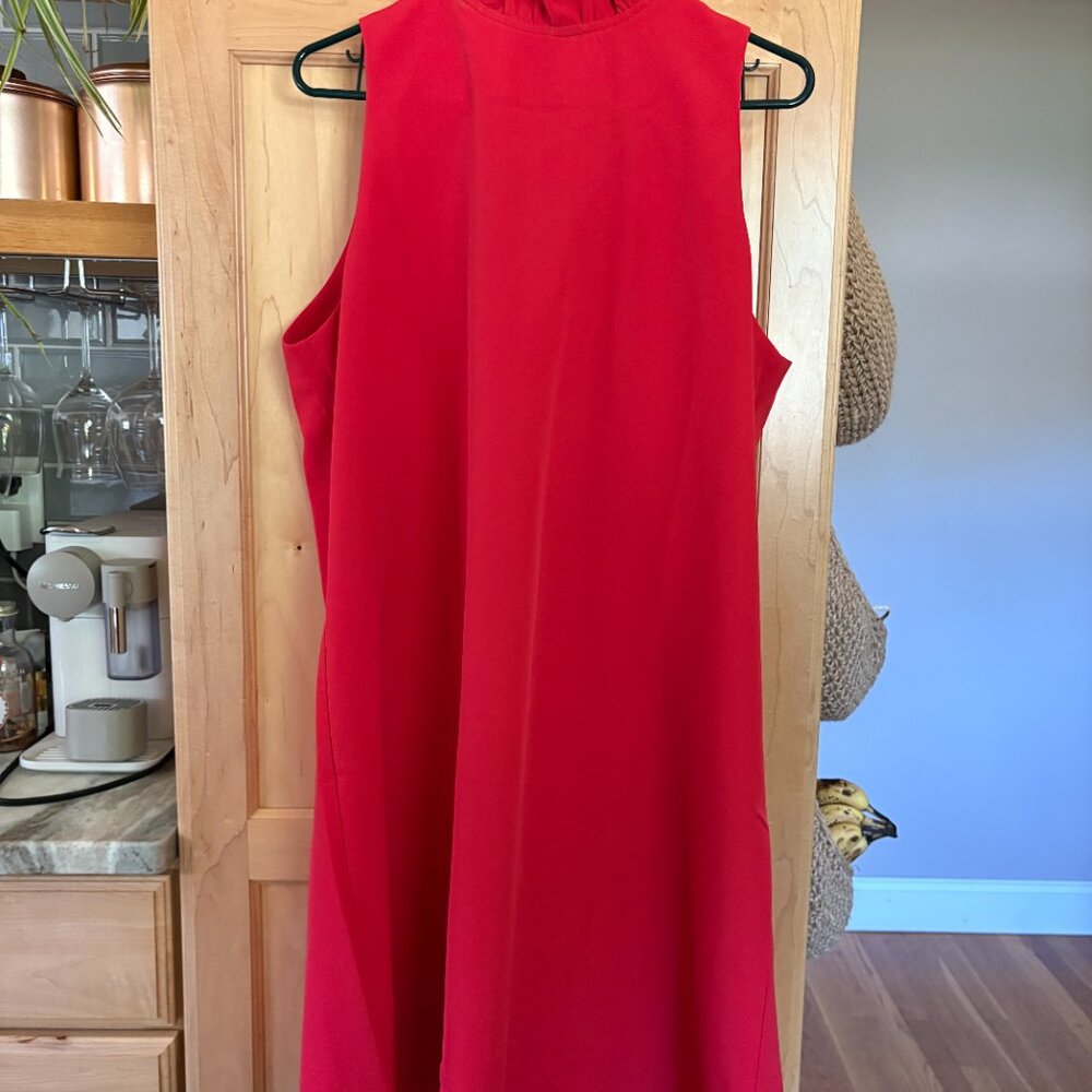 Tuckernuck Red Ruffle Neck Mini Dress - Picture 4 of 7